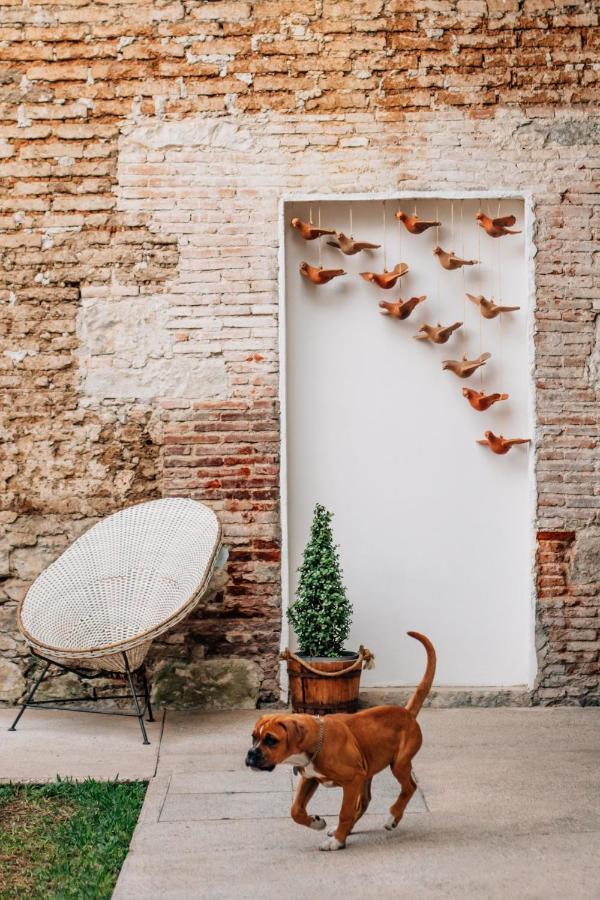Hotel Tabaa Oaxaca Exteriér fotografie